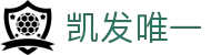 凯发唯一 - (中国)德州凯发唯一有限责任公司欢迎您娱乐体验